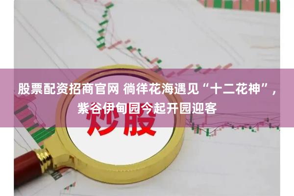 股票配资招商官网 徜徉花海遇见“十二花神”，紫谷伊甸园今起开园迎客