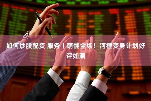如何炒股配资 服务丨萌翻全场！河狸变身计划好评如潮
